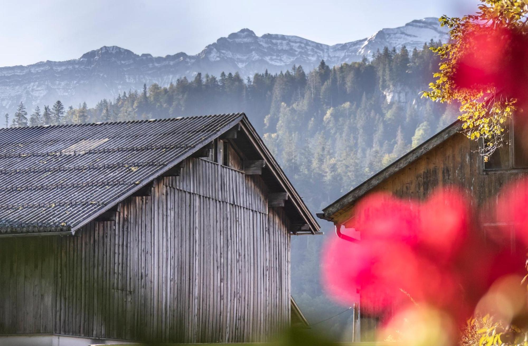Ferienwohnung Greber Gertraud Bezau Buitenkant foto